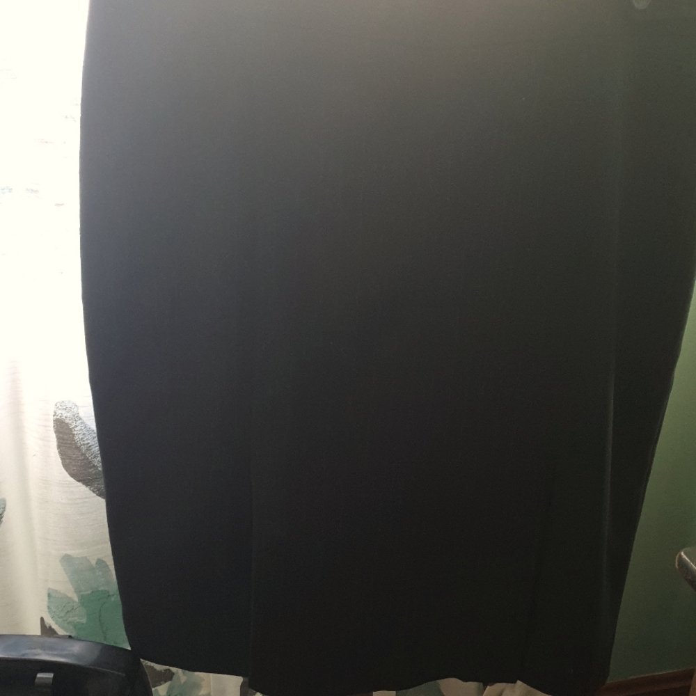 The Limited skirt